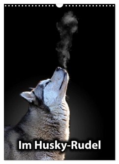 Im Husky-Rudel (Wandkalender 2026 DIN A3 hoch), CALVENDO Monatskalender Im Husky-Rudel (Wandkalender 2026 DIN A3 hoch), CALVENDO Monatskalender