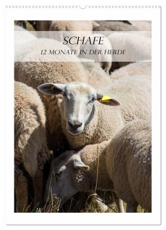 Cover Schafe - 12 Monate in der Herde (Wandkalender 2026 DIN A2 hoch), CALVENDO Monatskalender