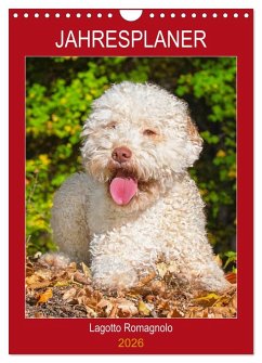 Jahresplaner Lagotto Romagnolo (Wandkalender 2026 DIN A4 hoch), CALVENDO Monatskalender