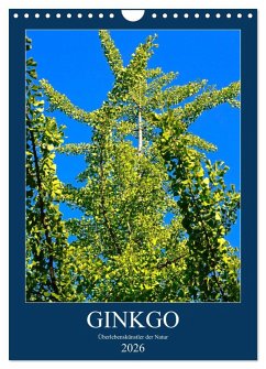 Ginkgo (Wandkalender 2026 DIN A4 hoch), CALVENDO Monatskalender