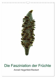 Die Faszination der Früchte (Wandkalender 2026 DIN A3 hoch), CALVENDO Monatskalender
