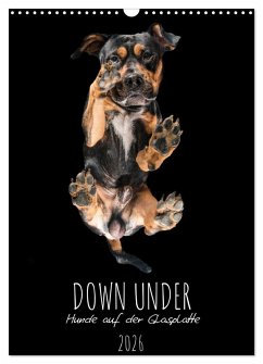 Down Under - Hunde auf der Glasplatte (Wandkalender 2026 DIN A3 hoch), CALVENDO Monatskalender Down Under - Hunde auf der Glasplatte (Wandkalender 2026 DIN A3 hoch), CALVENDO Monatskalender