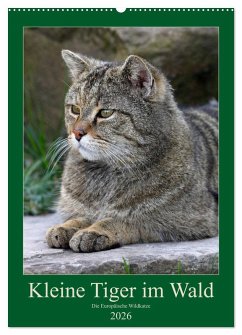 Kleine Tiger im Wald (Wandkalender 2026 DIN A2 hoch), CALVENDO Monatskalender Kleine Tiger im Wald (Wandkalender 2026 DIN A2 hoch), CALVENDO Monatskalender