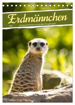 Cover Erdmännchen, putzige Kerlchen mit großen Knopfaugen (Tischkalender 2026 DIN A5 hoch), CALVENDO Monatskalender