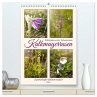 Kalkmagerrasen (hochwertiger Premium... - Bild 1