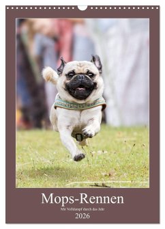 Mops-Rennen (Wandkalender 2026 DIN A3 hoch), CALVENDO Monatskalender Mops-Rennen (Wandkalender 2026 DIN A3 hoch), CALVENDO Monatskalender