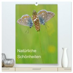 Insekten,Schönheiten der Natur (hochwertiger Premium Wandkalender 2026 DIN A2 hoch), Kunstdruck in Hochglanz