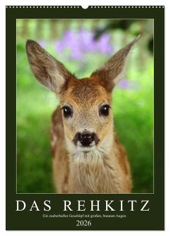 Cover Das Rehkitz, ein zauberhaftes Geschöpf mit großen, braunen Augen (Wandkalender 2026 DIN A2 hoch), CALVENDO Monatskalender