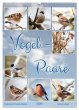 Vogel-Paare (Wandkalender 2026 DIN A2... - Bild 1