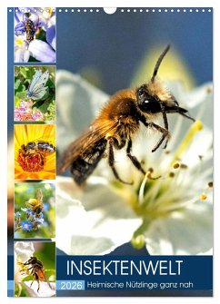 Cover INSEKTENWELT - Heimische Nützlinge ganz nah (Wandkalender 2026 DIN A3 hoch), CALVENDO Monatskalender