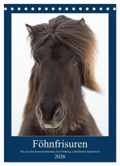 Föhnfrisuren (Tischkalender 2026 DIN A5 hoch), CALVENDO Monatskalender