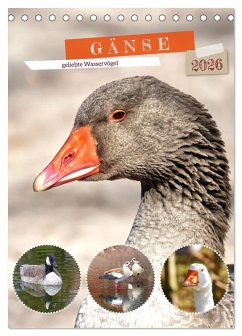 Cover Gänse, geliebte Wasservögel (Tischkalender 2026 DIN A5 hoch), CALVENDO Monatskalender