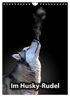Im Husky-Rudel (Wandkalender 2026 DIN A4 hoch), CALVENDO Monatskalender