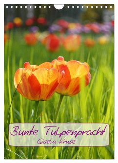 Cover Bunte Tulpenpracht (Wandkalender 2026 DIN A4 hoch), CALVENDO Monatskalender