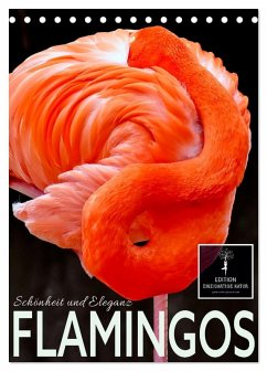 Flamingos - Eleganz und Schönheit (Tischkalender 2026 DIN A5 hoch), CALVENDO Monatskalender