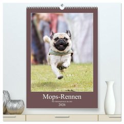 Mops-Rennen (hochwertiger Premium Wandkalender 2026 DIN A2 hoch), Kunstdruck in Hochglanz Mops-Rennen (hochwertiger Premium Wandkalender 2026 DIN A2 hoch), Kunstdruck in Hochglanz