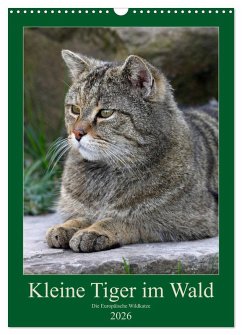 Kleine Tiger im Wald (Wandkalender 2026 DIN A3 hoch), CALVENDO Monatskalender Kleine Tiger im Wald (Wandkalender 2026 DIN A3 hoch), CALVENDO Monatskalender