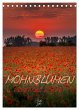 Mohnblumen - kraftvoll und zart... - Bild 1