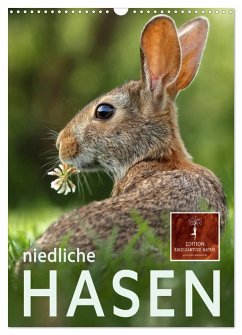 Niedliche Hasen (Wandkalender 2026 DIN A3 hoch), CALVENDO Monatskalender Niedliche Hasen (Wandkalender 2026 DIN A3 hoch), CALVENDO Monatskalender