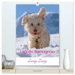 Cover Lagotto Romagnolo - Lustige Zwerge (hochwertiger Premium Wandkalender 2026 DIN A2 hoch), Kunstdruck in Hochglanz