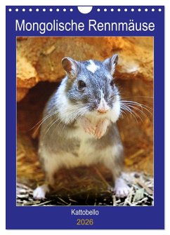 Mongolische Rennmäuse (Wandkalender 2026 DIN A4 hoch), CALVENDO Monatskalender Mongolische Rennmäuse (Wandkalender 2026 DIN A4 hoch), CALVENDO Monatskalender