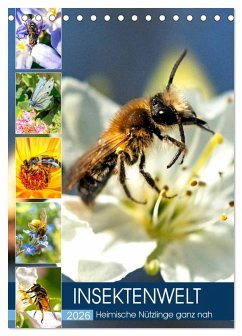 Cover INSEKTENWELT - Heimische Nützlinge ganz nah (Tischkalender 2026 DIN A5 hoch), CALVENDO Monatskalender