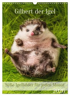 Gilbert der Igel (Wandkalender 2026 DIN A3 hoch), CALVENDO Monatskalender Gilbert der Igel (Wandkalender 2026 DIN A3 hoch), CALVENDO Monatskalender