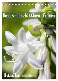 Hostas Herzblattlilien Funkien (Tischkalender 2026 DIN A5 hoch), CALVENDO Monatskalender Hostas Herzblattlilien Funkien (Tischkalender 2026 DIN A5 hoch), CALVENDO Monatskalender