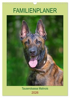 Familienplaner Tausendsassa Malinois (Wandkalender 2026 DIN A3 hoch), CALVENDO Monatskalender