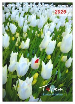 Tulpen. Bunter Frühling (Tischkalender 2026 DIN A5 hoch), CALVENDO Monatskalender