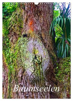 Cover Baumseelen (Wandkalender 2026 DIN A3 hoch), CALVENDO Monatskalender