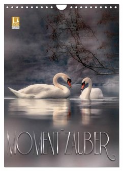 Cover Moment Zauber (Wandkalender 2026 DIN A4 hoch), CALVENDO Monatskalender
