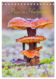 Cover Pilze in Hochform (Tischkalender 2026 DIN A5 hoch), CALVENDO Monatskalender