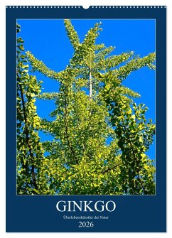 Ginkgo (Wandkalender 2026 DIN A2 hoch), CALVENDO Monatskalender