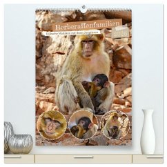 Cover Berberaffenfamilien (hochwertiger Premium Wandkalender 2026 DIN A2 hoch), Kunstdruck in Hochglanz