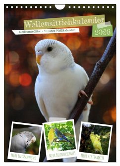Wellensittichkalender Jubiläumsedition - 10 Jahre Wellensittichkalender! (Wandkalender 2026 DIN A4 hoch), CALVENDO Monatskalender Wellensittichkalender Jubiläumsedition - 10 Jahre Wellensittichkalender! (Wandkalender 2026 DIN A4 hoch), CALVENDO Monatskalender