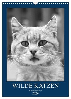 Wilde Katzen - Korsikas Samtpfoten (Wandkalender 2026 DIN A3 hoch), CALVENDO Monatskalender