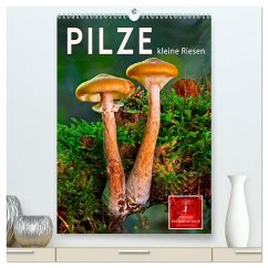 Cover Pilze - kleine Riesen (hochwertiger Premium Wandkalender 2026 DIN A2 hoch), Kunstdruck in Hochglanz