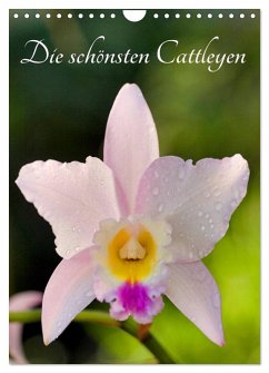 Cover Die schönsten Cattleyen (Wandkalender 2026 DIN A4 hoch), CALVENDO Monatskalender