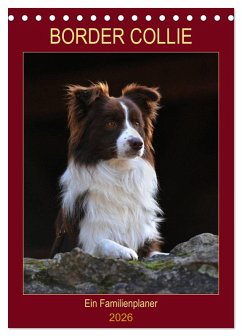 Border Collie - Ein Familienplaner (Tischkalender 2026 DIN A5 hoch), CALVENDO Monatskalender Border Collie - Ein Familienplaner (Tischkalender 2026 DIN A5 hoch), CALVENDO Monatskalender