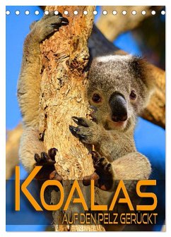 Cover Koalas auf den Pelz gerückt (Tischkalender 2026 DIN A5 hoch), CALVENDO Monatskalender