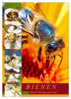 BIENEN - Kleine Nützlinge ganz nah (Wandkalender 2026 DIN A2 hoch), CALVENDO Monatskalender