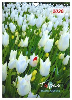 Tulpen. Bunter Frühling (Wandkalender 2026 DIN A4 hoch), CALVENDO Monatskalender