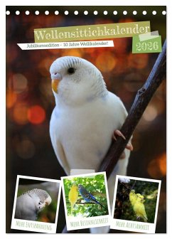 Wellensittichkalender Jubiläumsedition - 10 Jahre Wellensittichkalender! (Tischkalender 2026 DIN A5 hoch), CALVENDO Monatskalender Wellensittichkalender Jubiläumsedition - 10 Jahre Wellensittichkalender! (Tischkalender 2026 DIN A5 hoch), CALVENDO Monatskalender