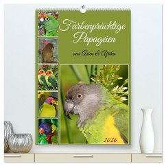 Cover Farbenprächtige Papageien aus Asien und Afrika (hochwertiger Premium Wandkalender 2026 DIN A2 hoch), Kunstdruck in Hochglanz
