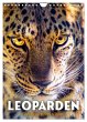 Leoparden - Die Beute im Visier.... - Bild 1