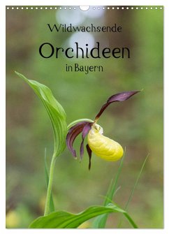 Wildwachsende Orchideen in Bayern (Wandkalender 2026 DIN A3 hoch), CALVENDO Monatskalender