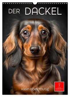 Der Dackel - klein aber mutig (Wandkalender 2026 DIN A3 hoch), CALVENDO Monatskalender Der Dackel - klein aber mutig (Wandkalender 2026 DIN A3 hoch), CALVENDO Monatskalender