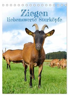 Ziegen - liebenswerte Sturköpfe (Tischkalender 2026 DIN A5 hoch), CALVENDO Monatskalender