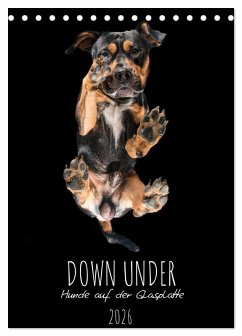 Down Under - Hunde auf der Glasplatte (Tischkalender 2026 DIN A5 hoch), CALVENDO Monatskalender Down Under - Hunde auf der Glasplatte (Tischkalender 2026 DIN A5 hoch), CALVENDO Monatskalender